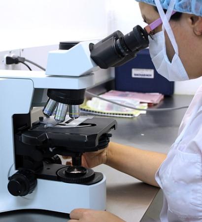 microscope-2352650_640