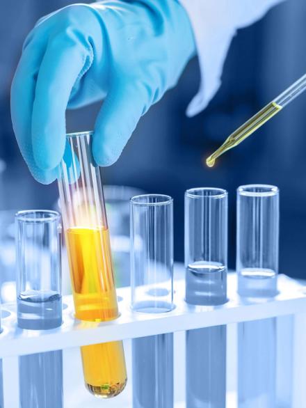 wmremove-transformed (7)